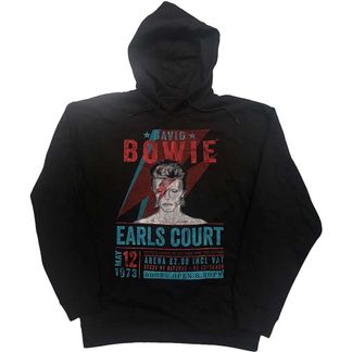 David bowie earls court '73' (eco-friendly) hooded sweater
