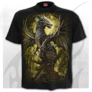 Spiral Oak dragon T-shirt