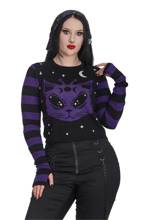 Banned alien space cat jumper - Babashope - 4